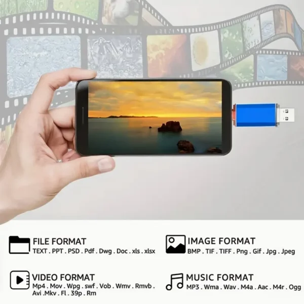 Chiavetta USB C da 100GB doppia 2-in-1 USB 2.0 doppia interfaccia, metallica, per foto per smartphone Android e tablet