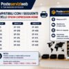 Cartucce Compatibili Epson 18XL T1811 / T1812 / T1813 / T1814 Cartucce Compatibili Epson 18XL T1811 / T1812 / T1813 / T1814