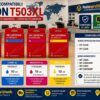 Cartucce Compatibili Epson T503XL Premium (Serie Peperoncino) Cartucce Compatibili Epson T503XL Premium (Serie Peperoncino)